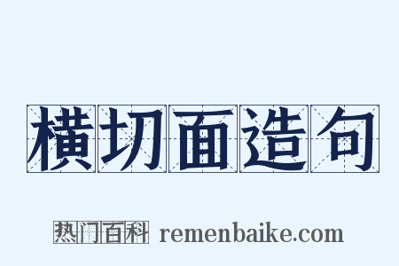 横切面造句是什么意思的图片